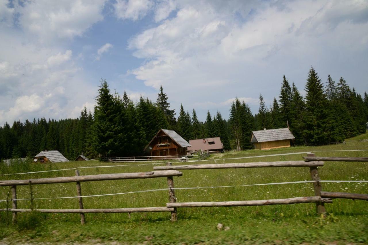 Pocitniska Hisa Jurcek Pokljuka Villa Goreljek Екстериор снимка