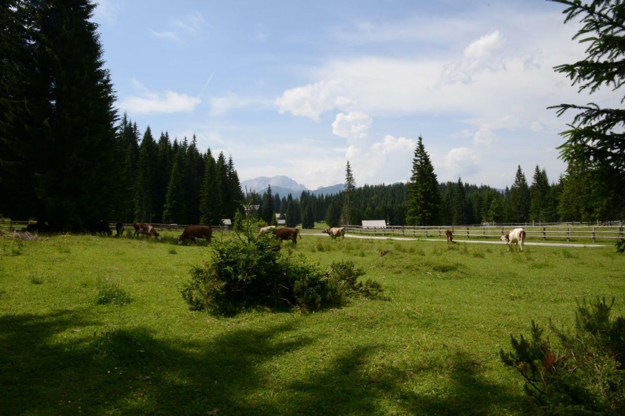 Pocitniska Hisa Jurcek Pokljuka Villa Goreljek Екстериор снимка